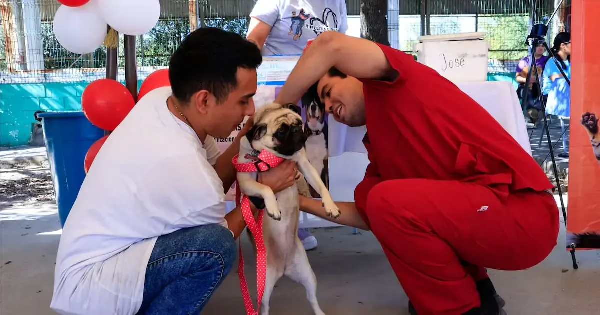 La comunidad se une para cuidar y celebrar la importancia de los animales.