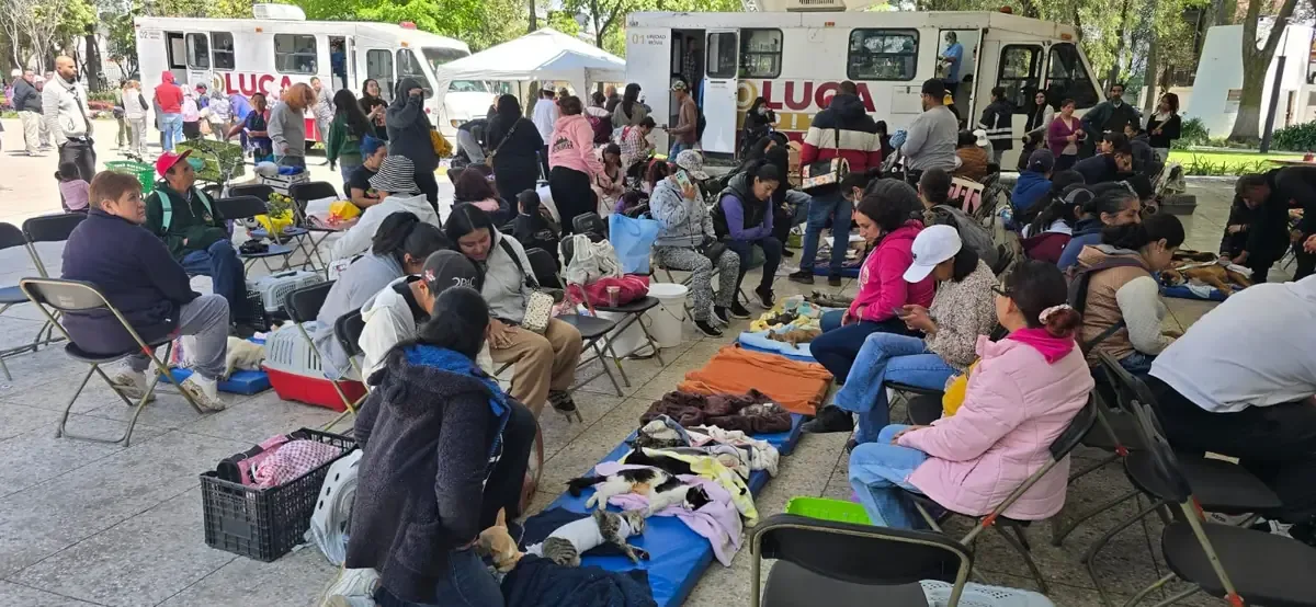 La comunidad se une para promover el bienestar de mascotas mediante esterilización y charlas educativas.