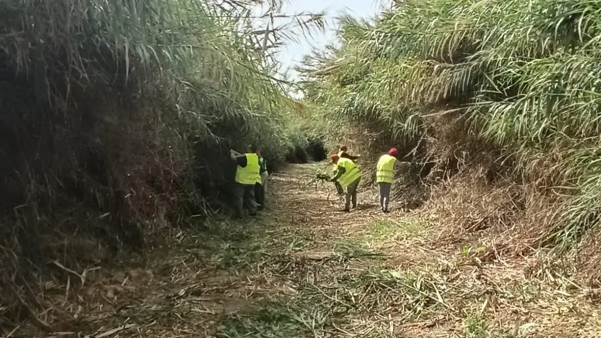 La intervención busca mejorar el drenaje y reducir el riesgo de inundaciones en la zona.