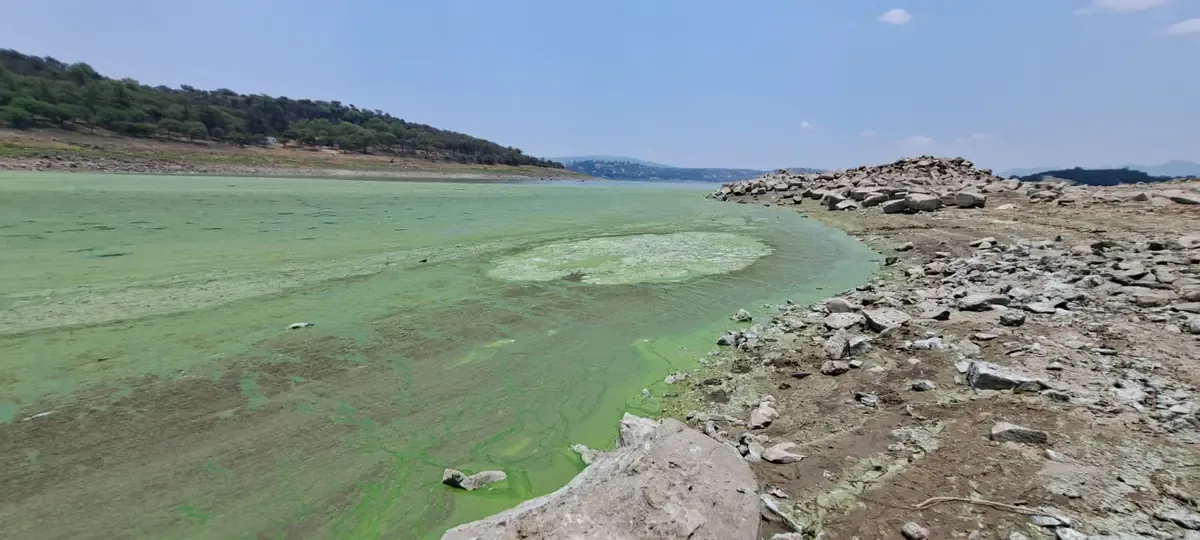 La contaminación del agua en Tepeji del Río genera preocupación entre habitantes y autoridades.