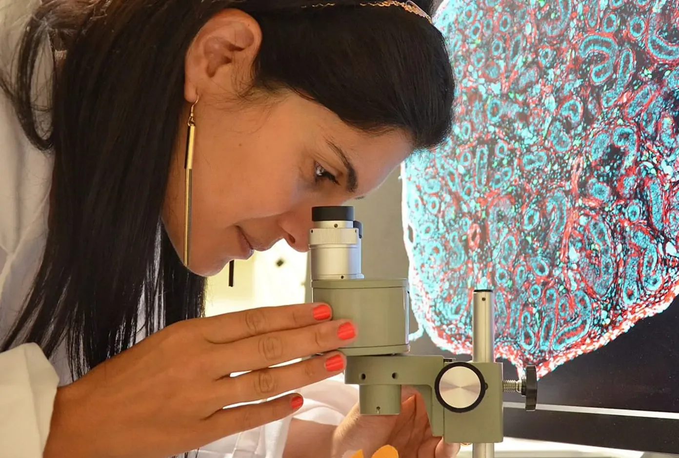 La convocatoria Mujeres en la Ciencia 2026 busca impulsar la investigación en Quintana Roo.