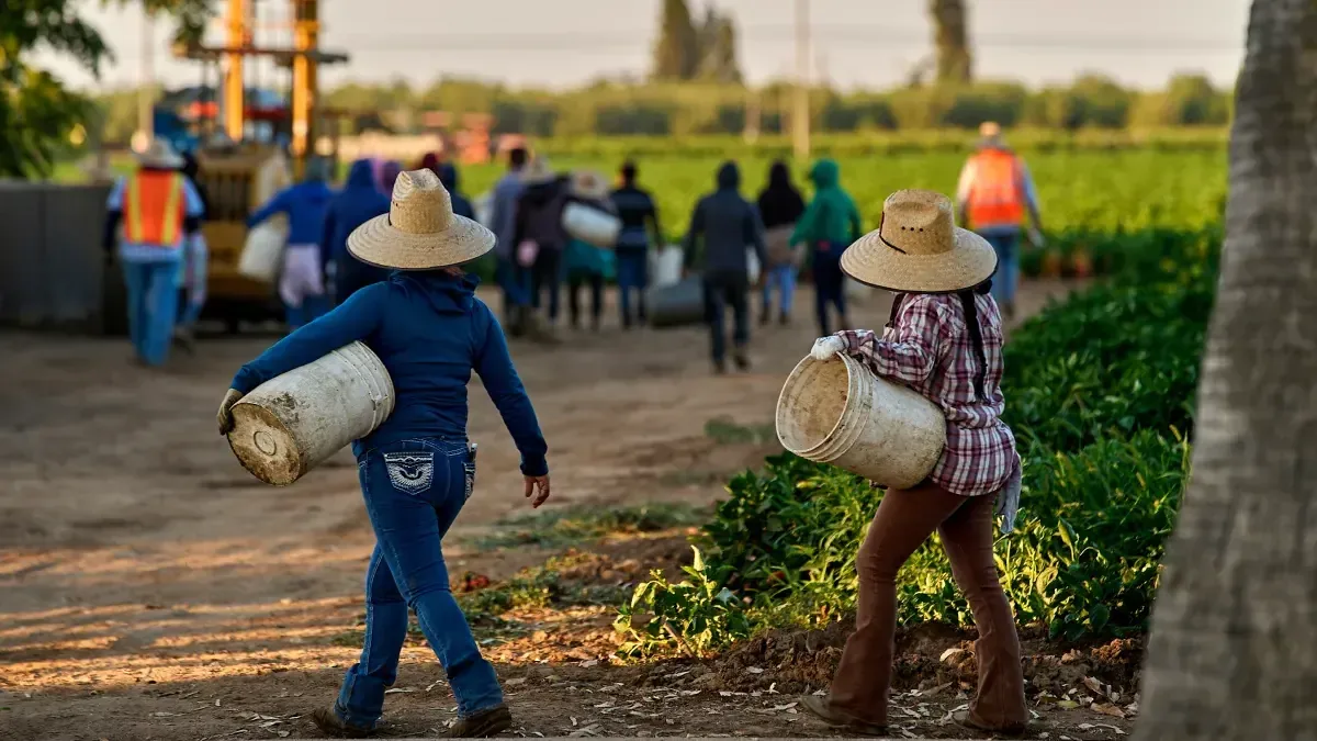 La denuncia de Huerta resalta la lucha de las trabajadoras agrícolas contra el acoso sexual.