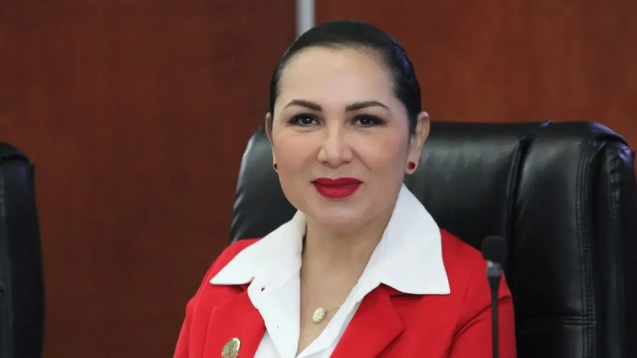 La diputada Araceli Geraldo solicitando apoyo para la digitalización de documentos en Baja California.