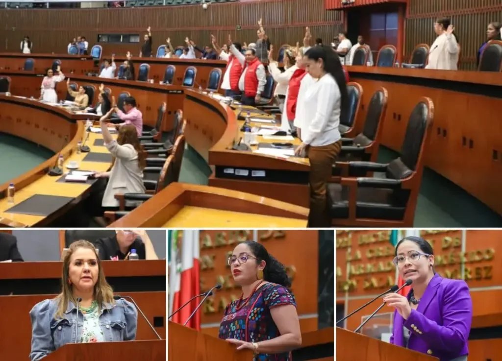 La diputada Erika Lorena Lührs Cortés presenta la reforma en el Congreso de Guerrero.