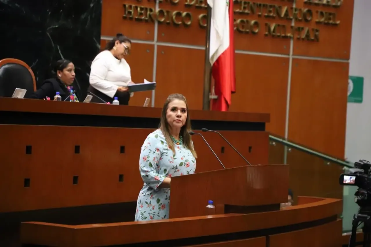 "La diputada Erika Lorena Lührs durante la sesión en el Congreso del Estado."