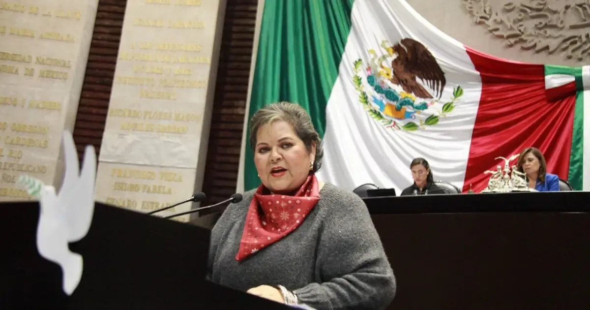 La diputada federal asegura que sus gastos en redes son parte de su dieta.