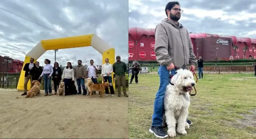La Dra. Mónica Cabrales durante la certificación de perros de zooterapia en Baja California.
