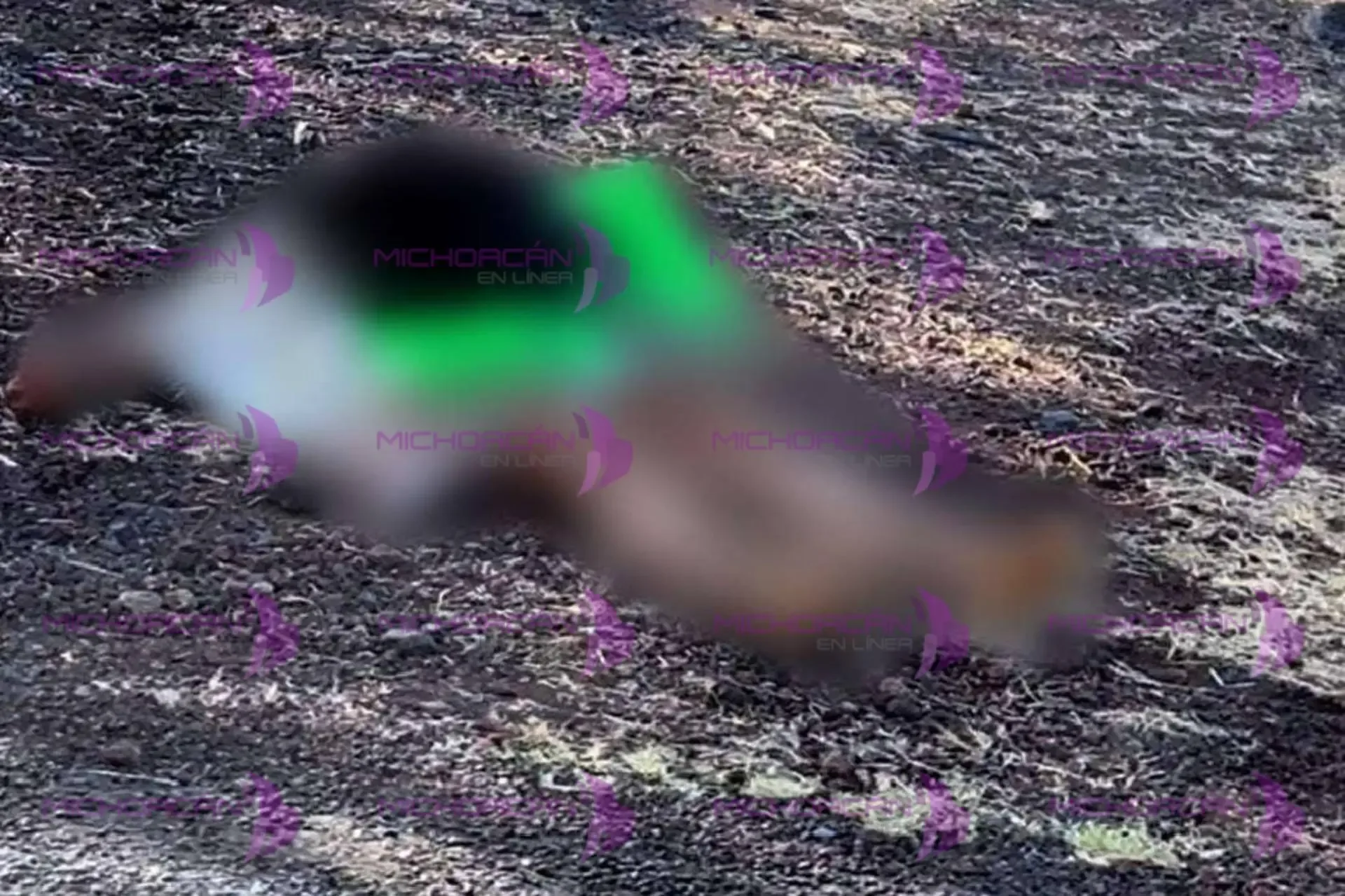 La escena del hallazgo de la joven asesinada en Buenavista Tomatlán.