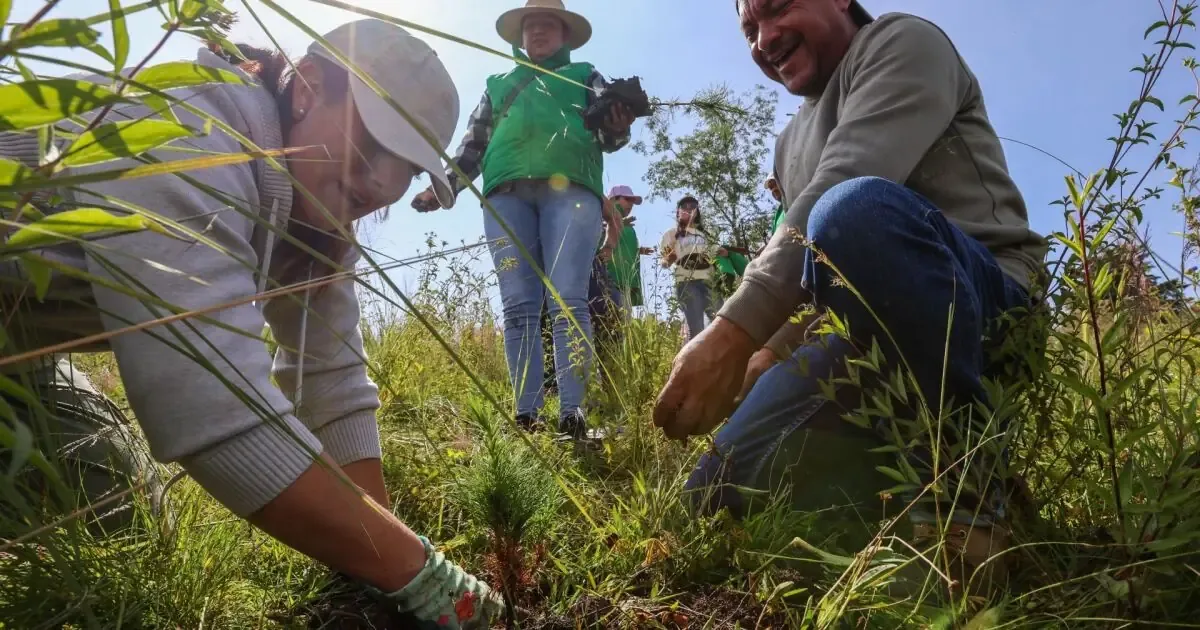 La estrategia busca conservar ecologías y mitigar el cambio climático en el occidente del país.