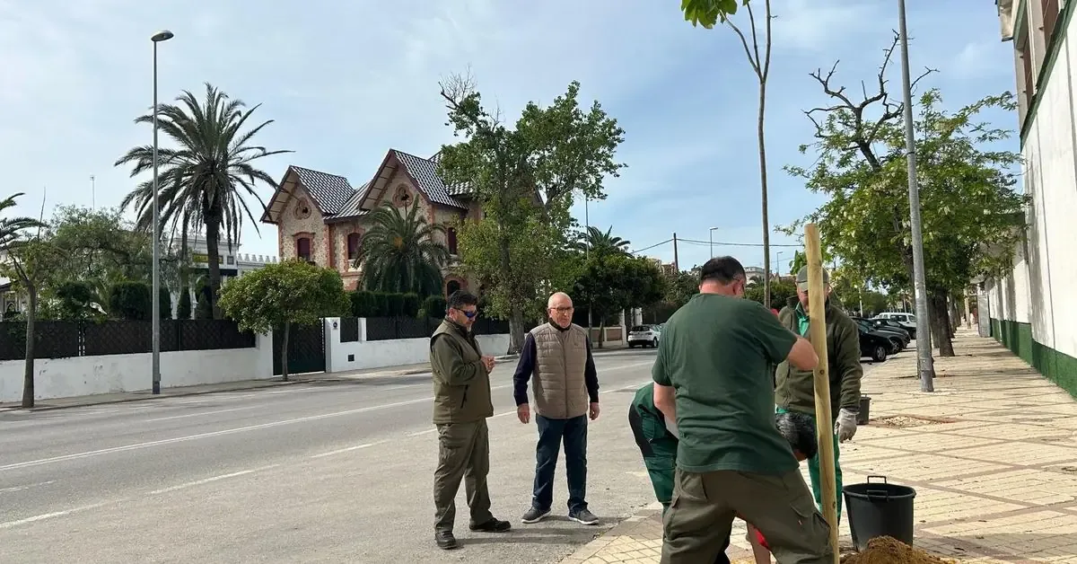 La estrategia busca subsanar el déficit de vegetación y mejorar la calidad ambiental del municipio.
