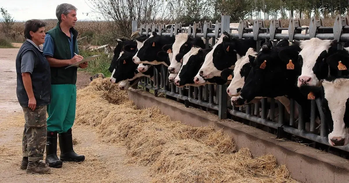 La disminución de veterinarios en León pone en riesgo la sanidad y rentabilidad de la ganadería extensiva.