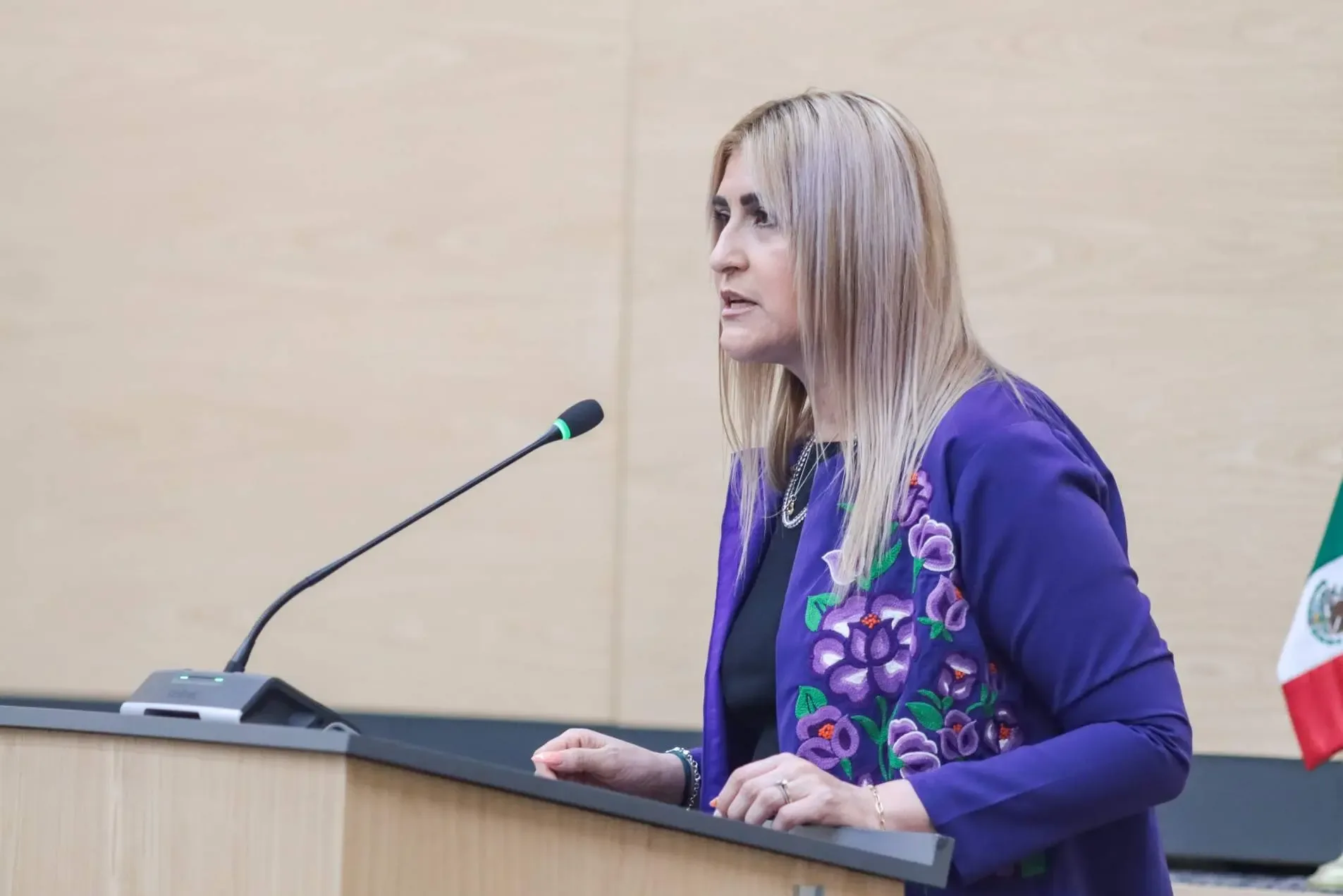 La fiscal Idamis Pastor ante el Congreso del Estado en un debate sobre corrupción.