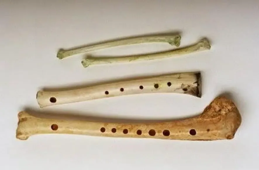 La flauta de Hohle Fels, el instrumento musical más antiguo conocido.