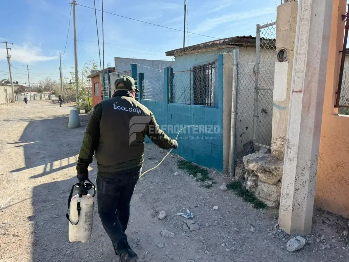 La fumigación se intensifica en respuesta al aumento de casos probables de rickettsia en Ciudad Juárez.