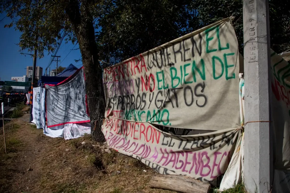 La Fundación Antonio Haghenbeck enfrenta sanciones por no entregar el predio solicitado.
