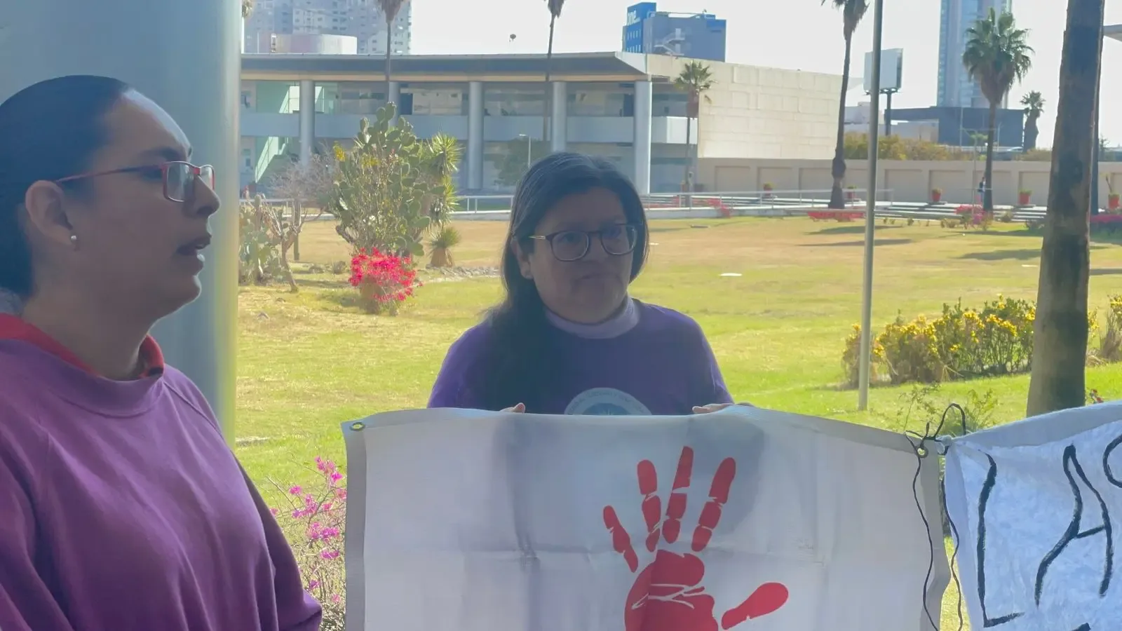 La fundadora del colectivo, Gabriela Rosas, advierte sobre el impacto de la eliminación de juzgados.