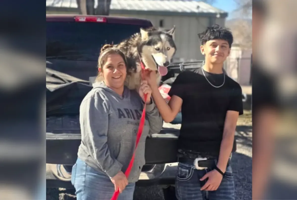La historia de Bentley, un husky reunido con su familia gracias a un microchip, emociona en redes sociales.