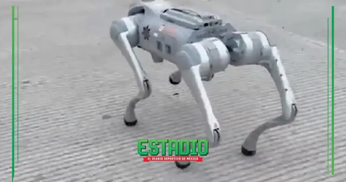 La implementación busca optimizar la seguridad en los partidos de la Copa del Mundo 2026.