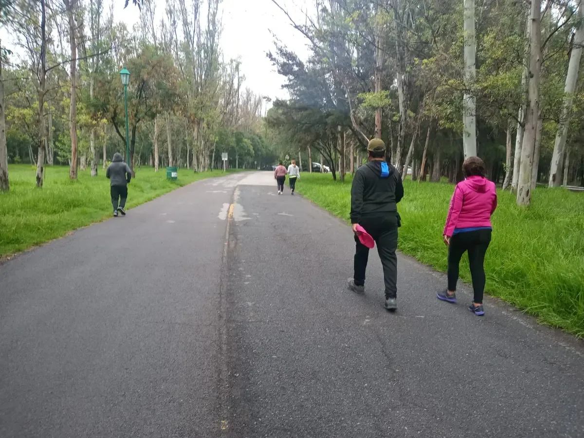 Especialistas recomiendan desconectar de la rutina para reducir el estrés y mejorar el equilibrio emocional.