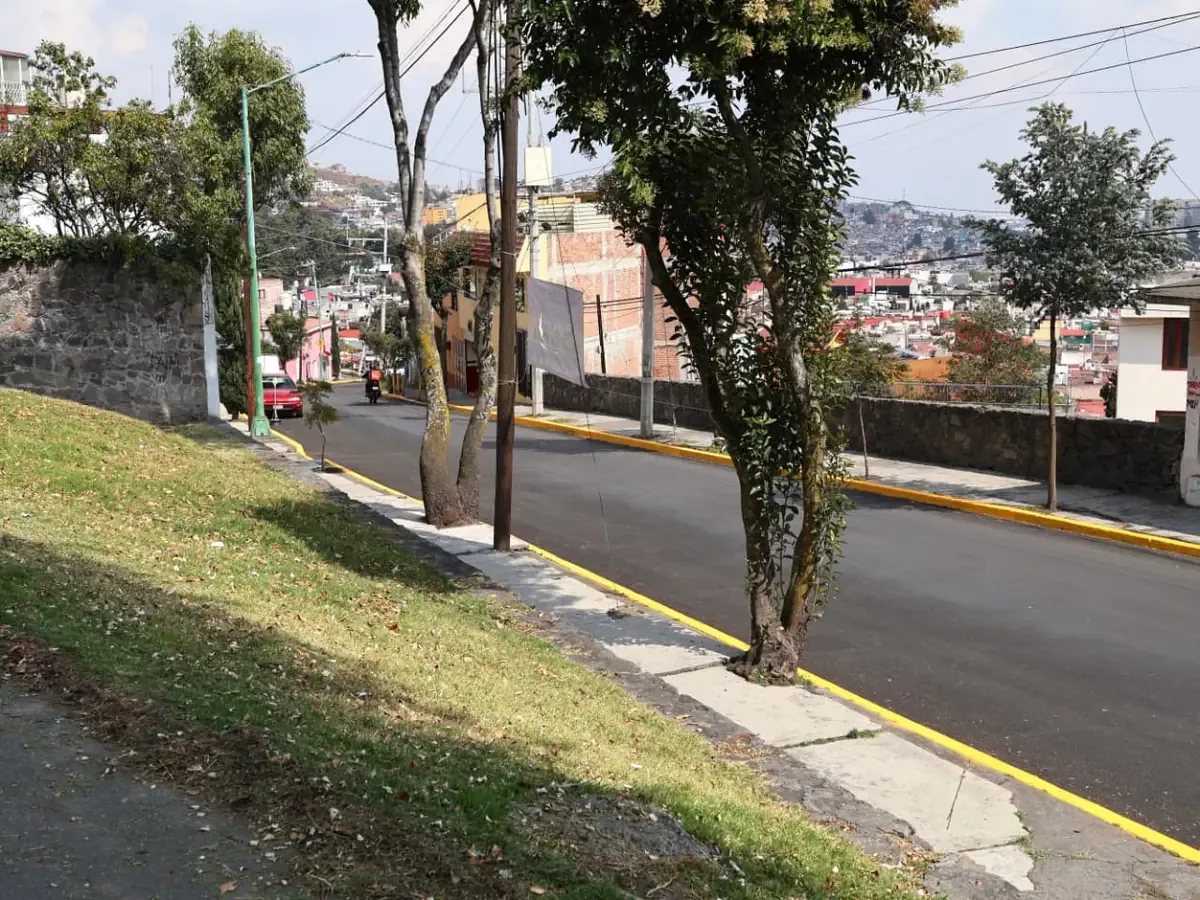 La iniciativa busca aumentar el arbolado urbano y mitigar el impacto del cambio climático.