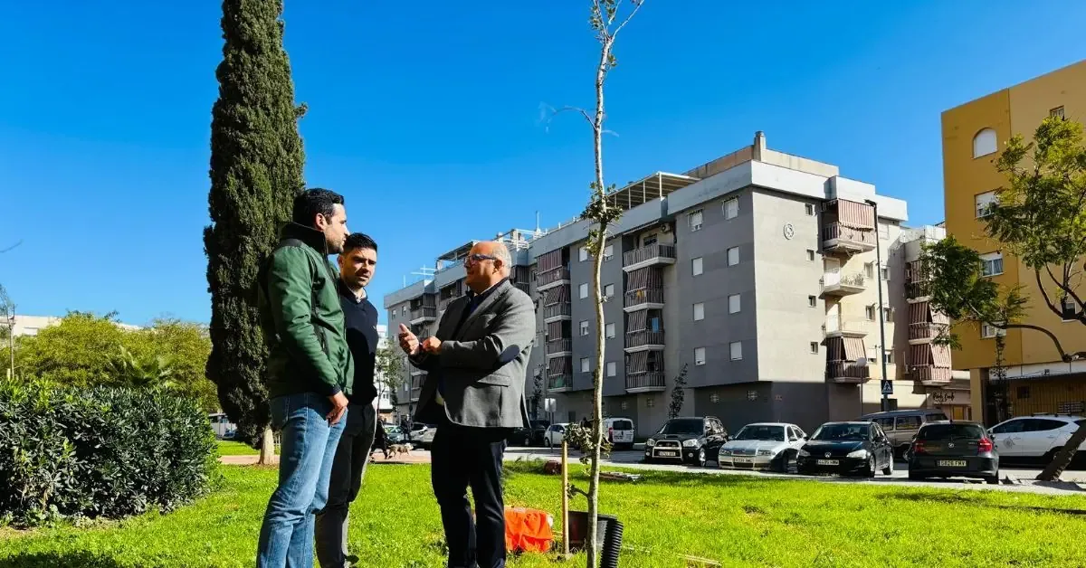 La iniciativa busca mejorar la calidad ambiental y aumentar las áreas verdes del municipio.