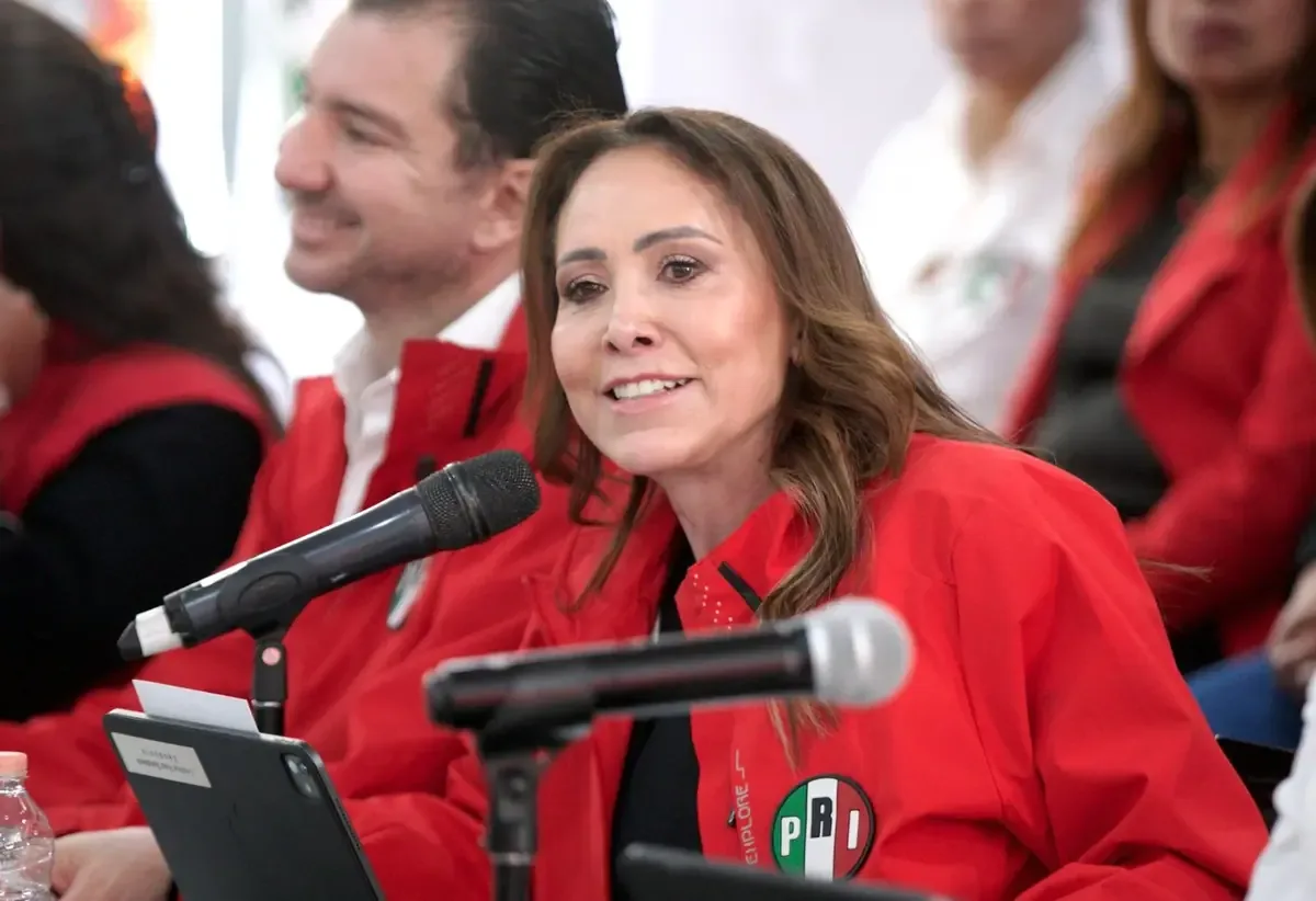 La iniciativa federal genera preocupaciones sobre el equilibrio institucional y la democracia local.