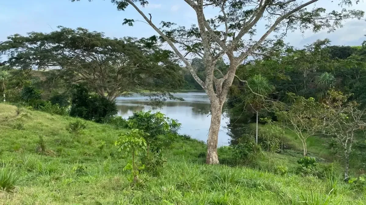 La intervención busca garantizar la seguridad del afluente y el suministro de agua para las comunidades locales.
