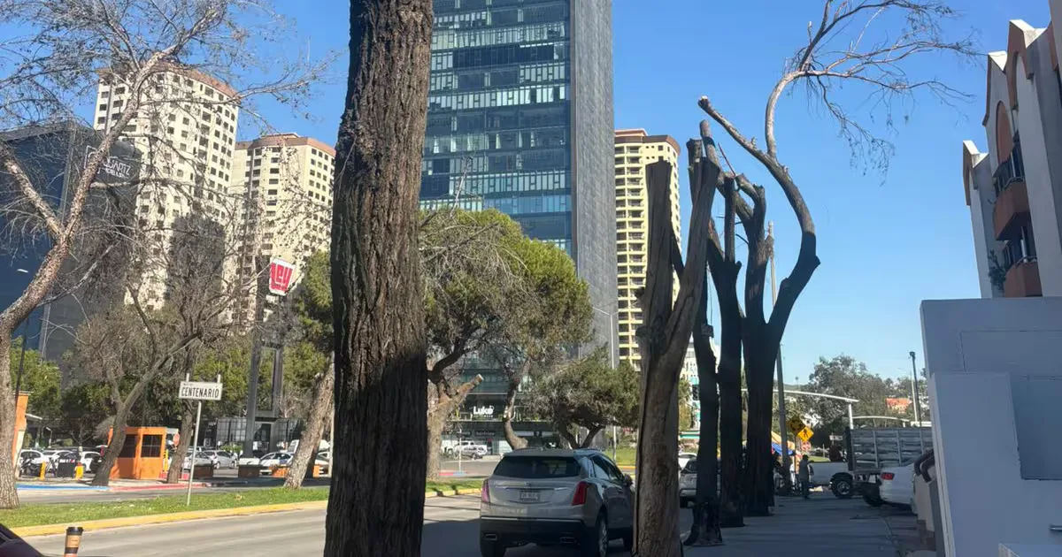 La intervención municipal se realizó en la zona Río de Tijuana para mejorar la seguridad.