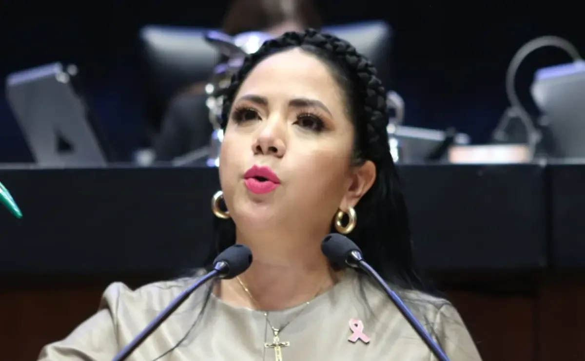 La legisladora argumenta que este servicio mejora la productividad de los senadores.