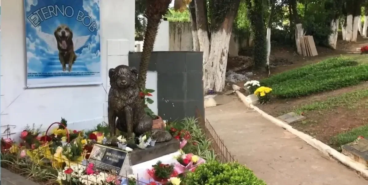 La “Ley Bob Coveiro” busca formalizar el entierro de mascotas, reflejando un cambio cultural en Brasil.