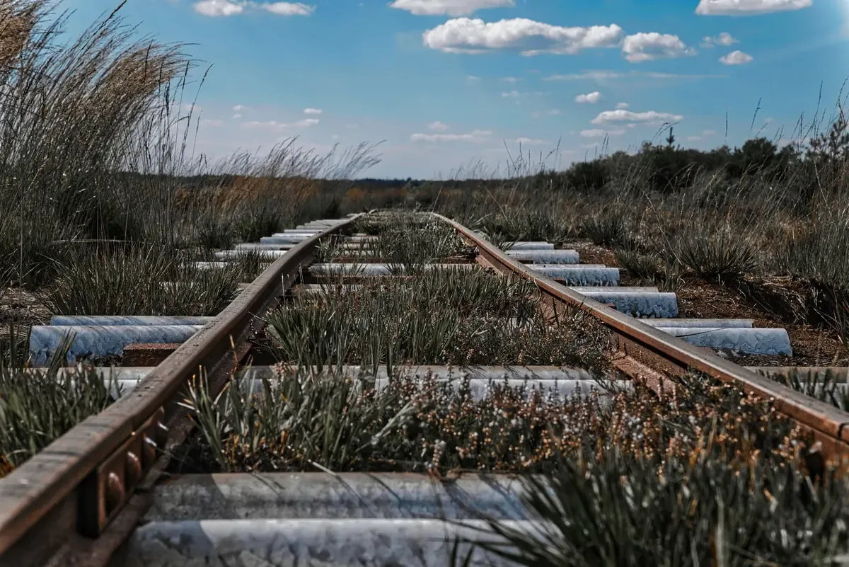 La concentración de recursos en grandes empresas perjudica la diversificación del sector ferroviario.
