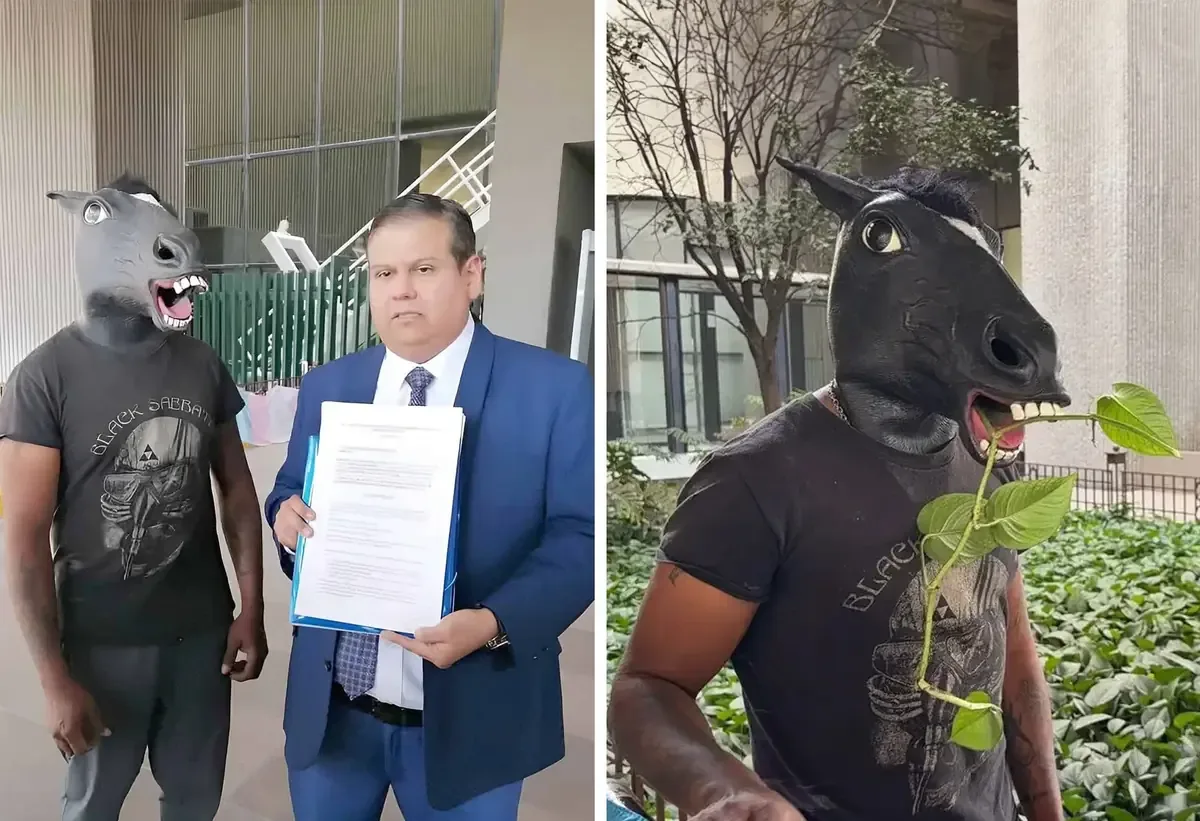 La Ley Therian busca erradicar el acoso y la discriminación en escuelas.