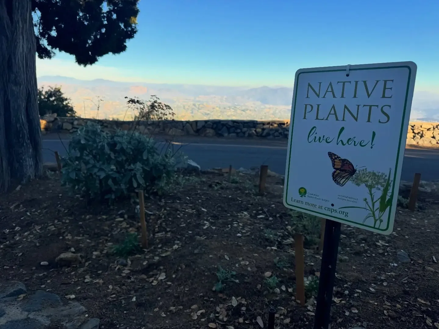 "La liberación de mariposas será uno de los momentos más esperados en el Nature Day."