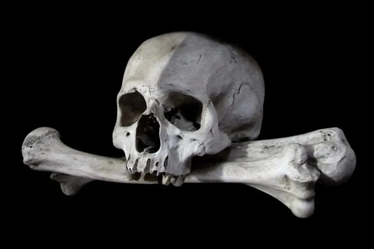 La localización de los cuerpos se da tras 17 días de investigaciones sobre su desaparición.