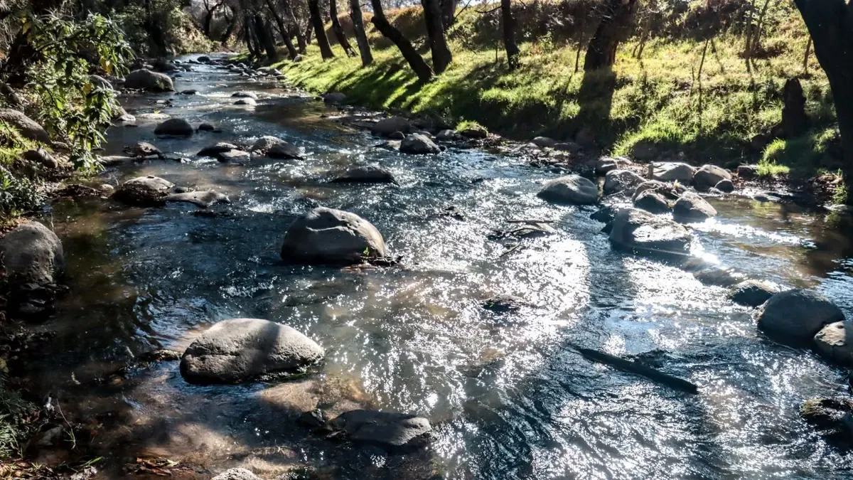 La mayoría de las descargas son de origen domiciliario y municipal, lo que agrava la crisis ambiental.
