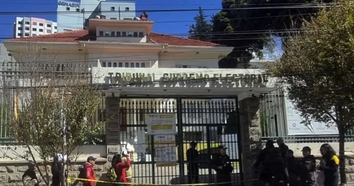 La medida busca fortalecer las consultorías para las elecciones subnacionales de marzo en Bolivia.
