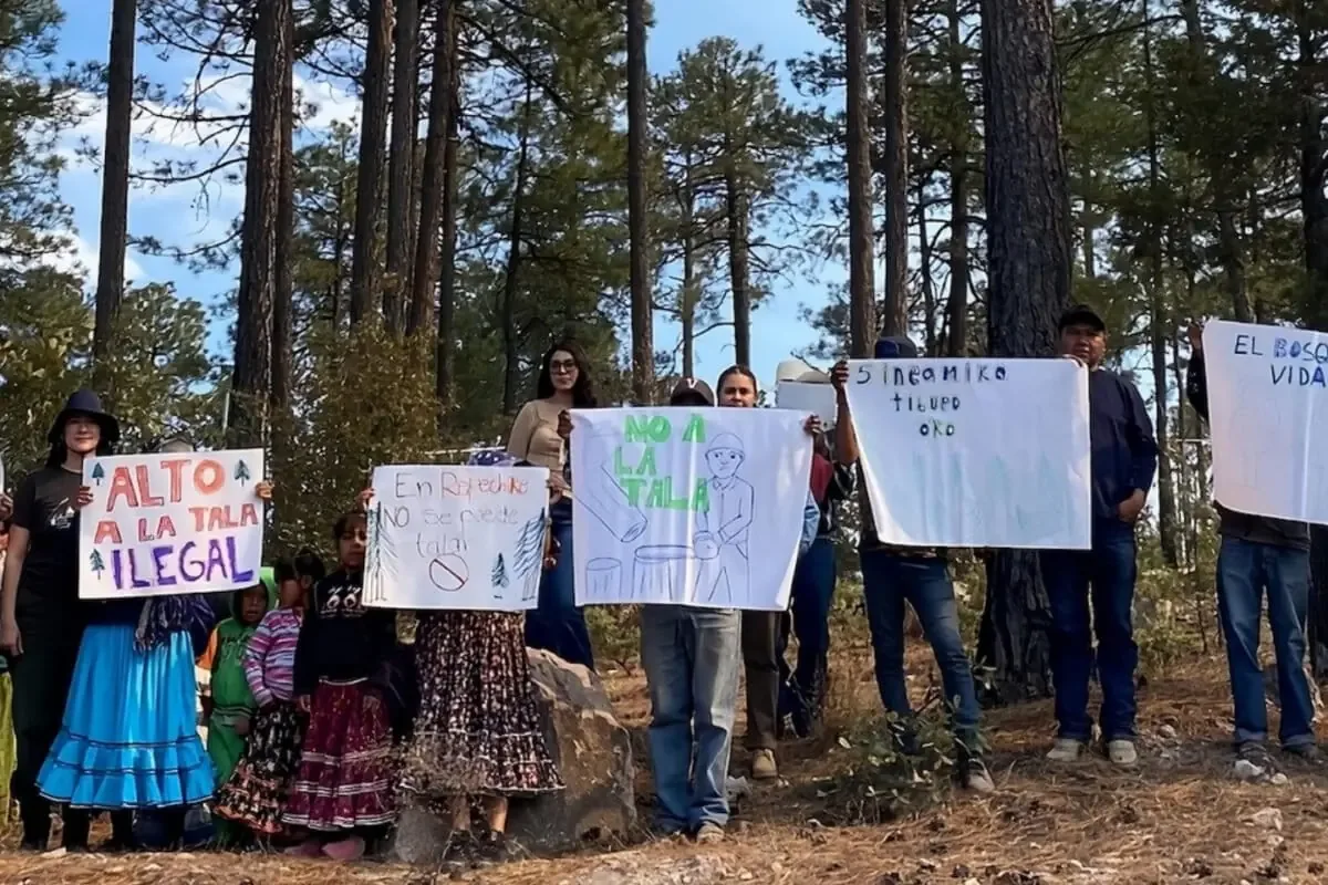 La minería y tala ilegales provocan crisis humanitaria en la Sierra Tarahumara.