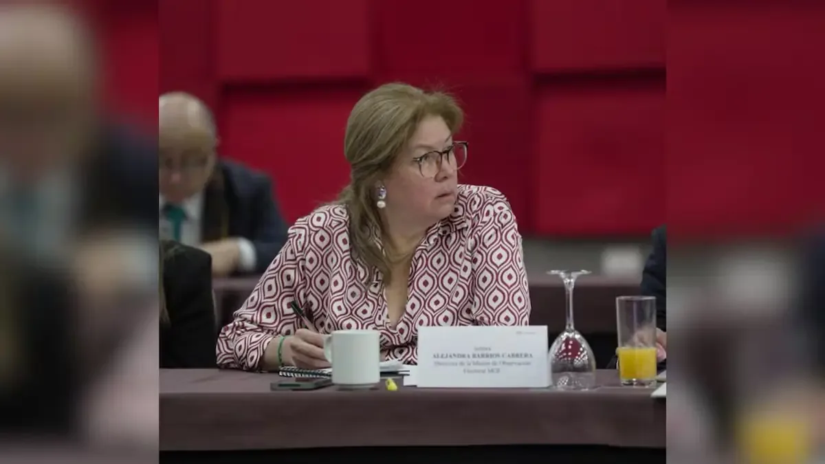 La Misión de Observación Electoral responde a preocupaciones sobre legitimidad de comicios del 8 de marzo.