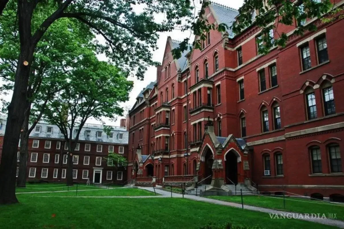 "La obra 'Hilos' de Valeria Padilla será la imagen central en Harvard."