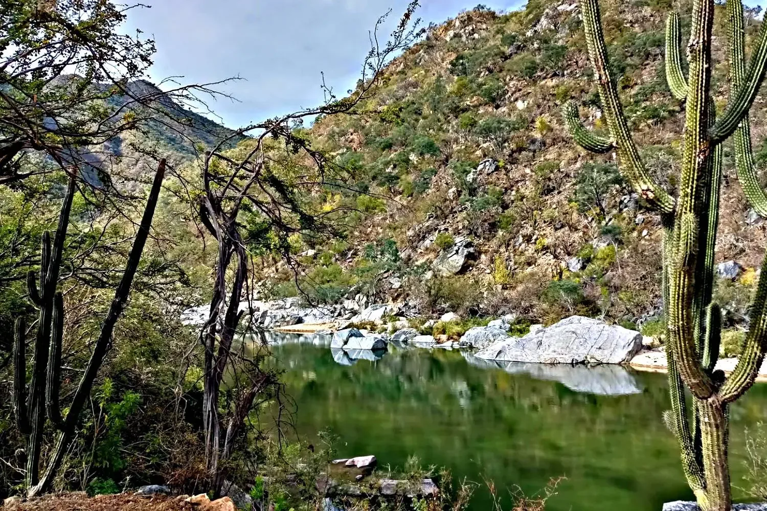 La organización Rescate de los Pueblos denuncia despojo en la Sierra de la Laguna.