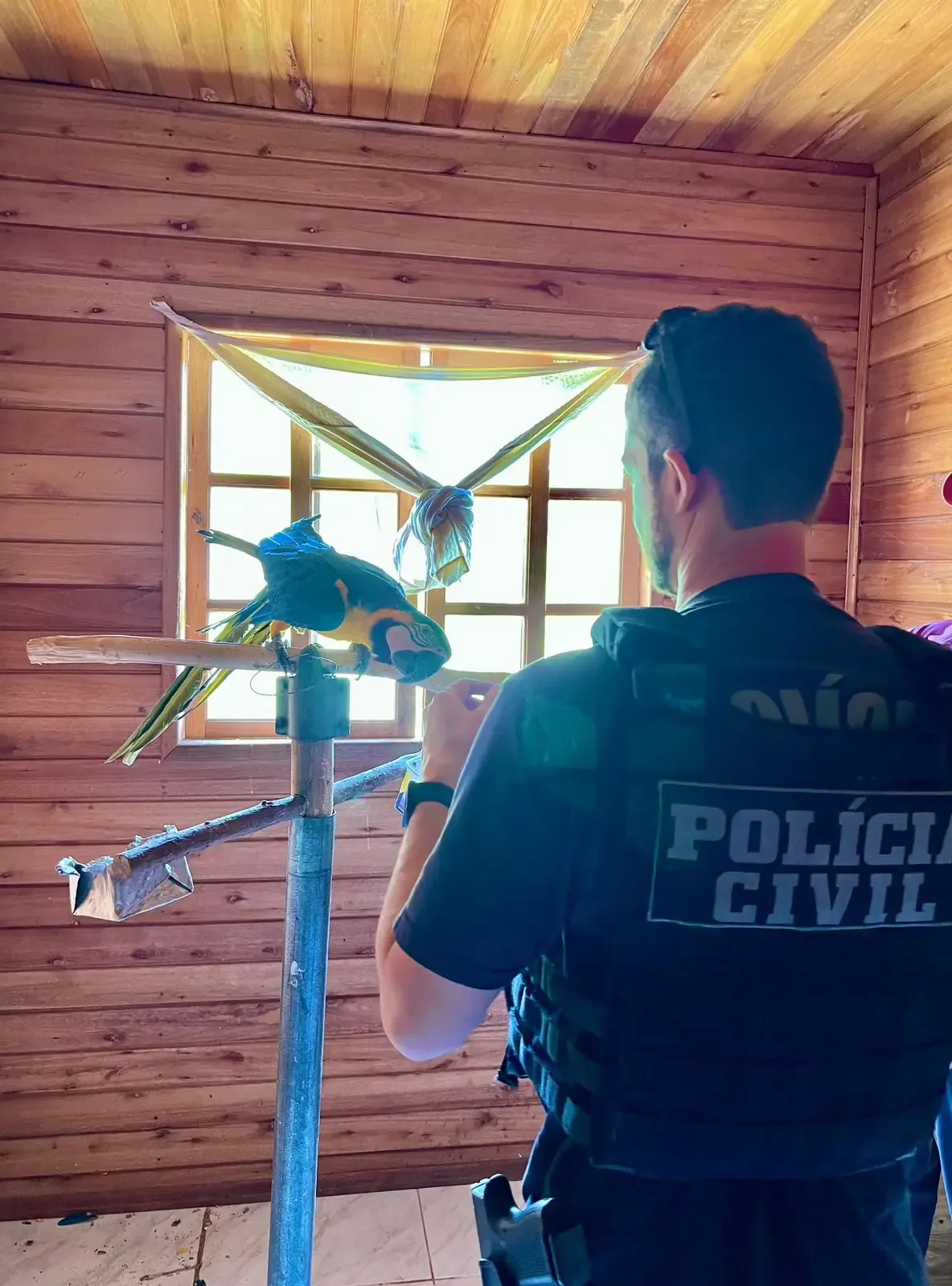 La Policía Civil actúa contra el tráfico de animales y protege la fauna local.