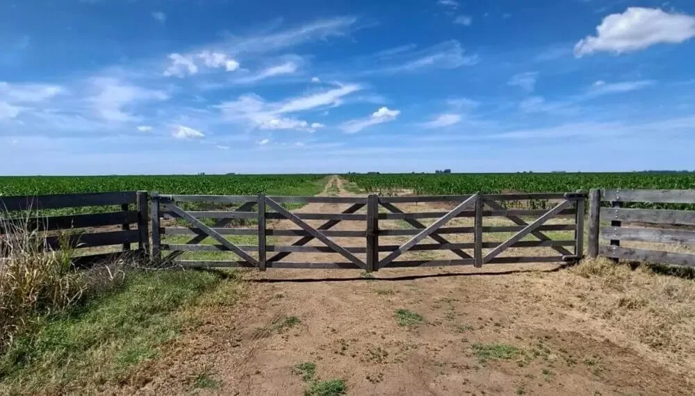 La posible modificación de la normativa genera expectativas y divisiones en el sector agrícola argentino.
