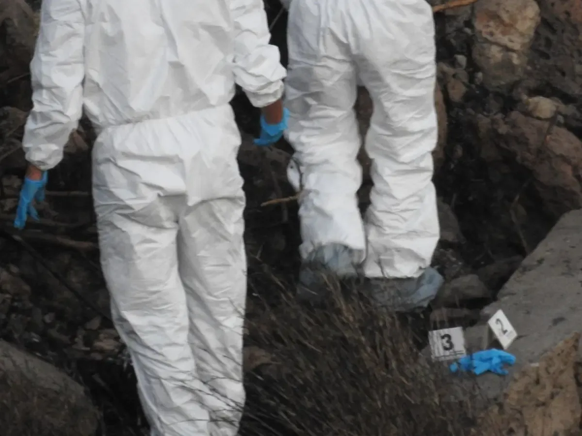 La presidenta Claudia Sheinbaum y autoridades estatales reconocen desafíos en la identificación de restos humanos.
