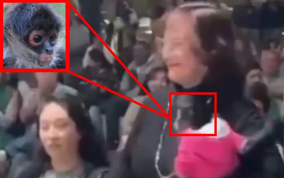 La Profepa tomó acción tras la difusión de un video donde la funcionaria sostiene al primate en un evento público.