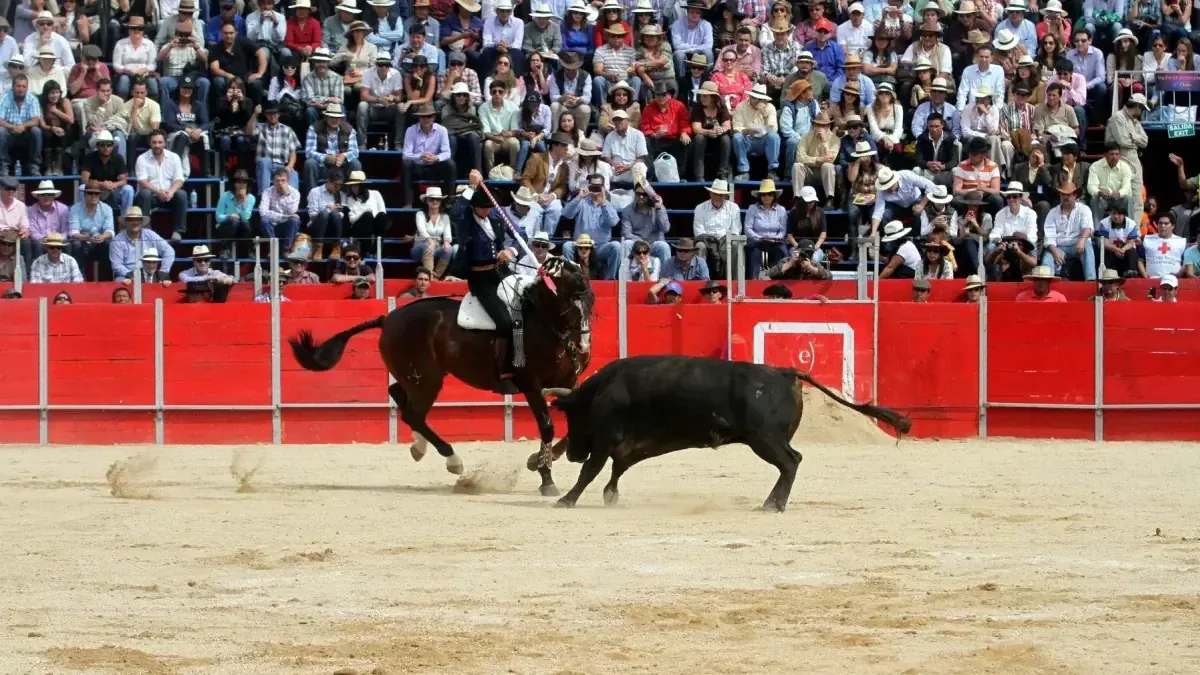 La prohibición de corridas de toros impacta eventos y sector turístico en la capital ecuatoriana.
