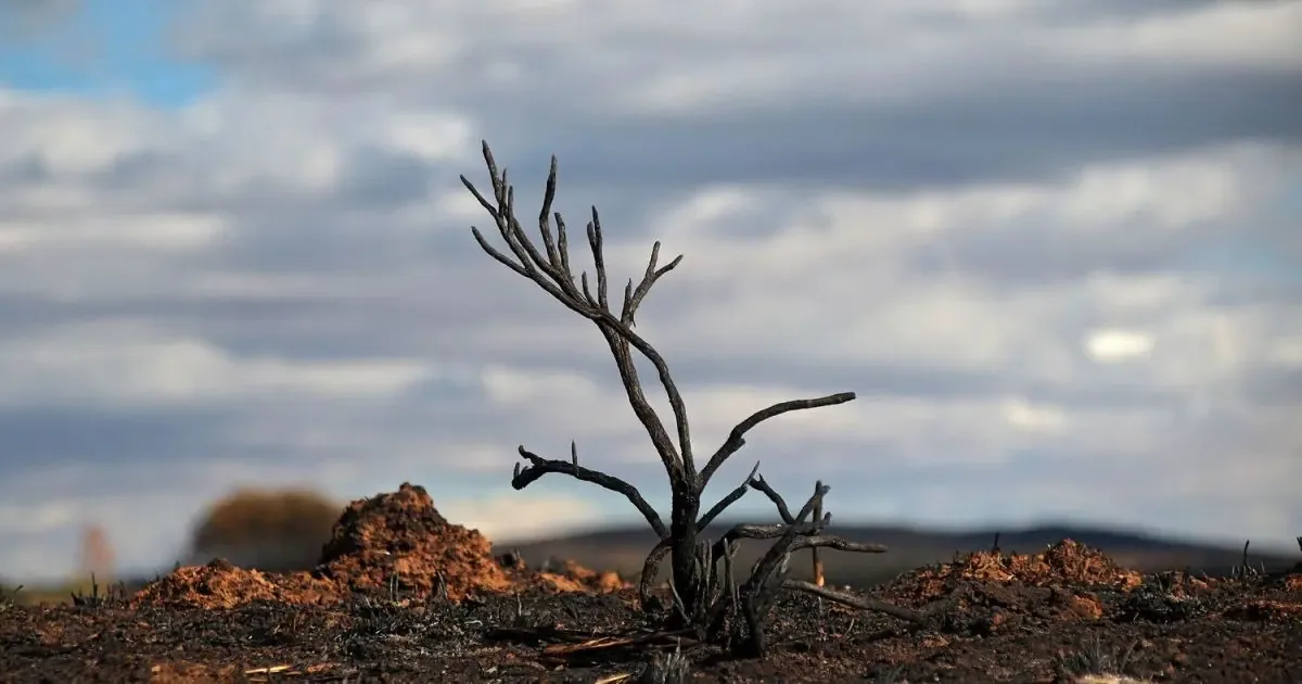 La provincia de León enfrenta un grave peligro de incendios forestales en 2026, afectando comarcas clave.