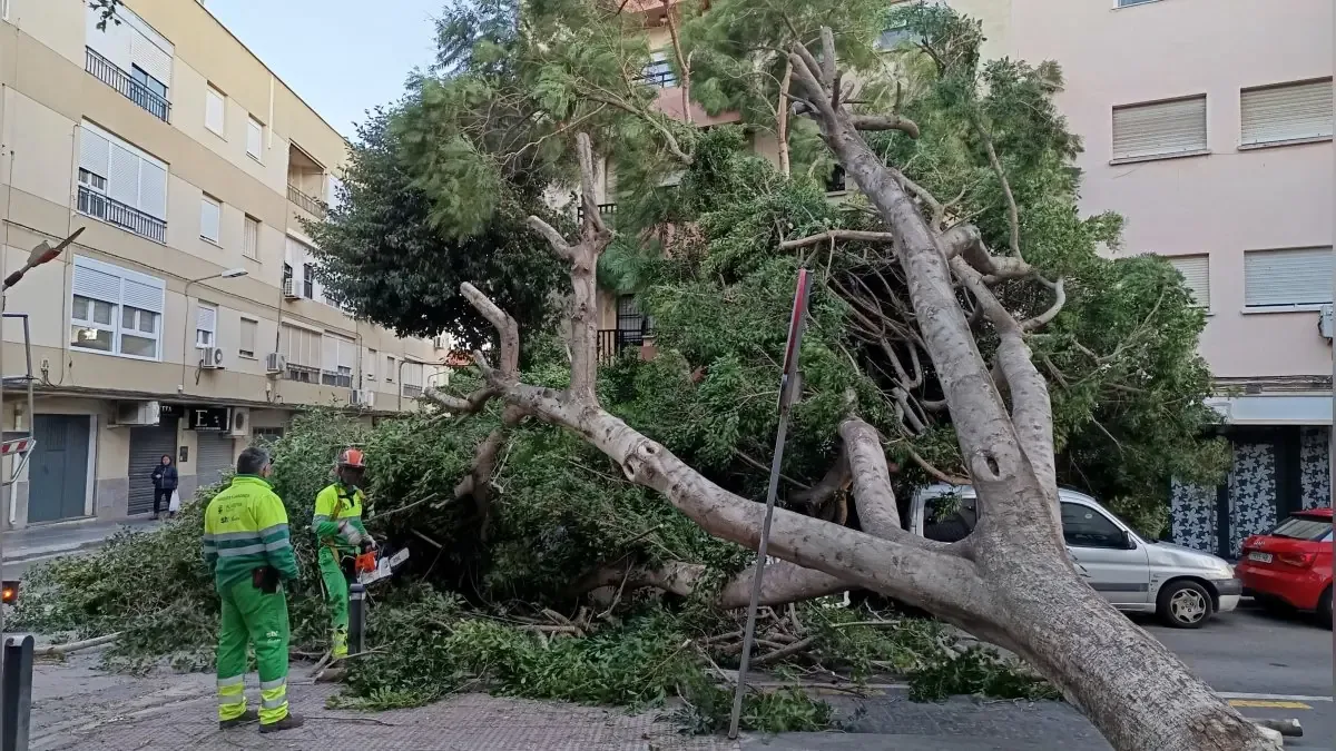 La provincia se enfrenta a consecuencias de fuertes vientos, con daños y temperaturas bajo cero.