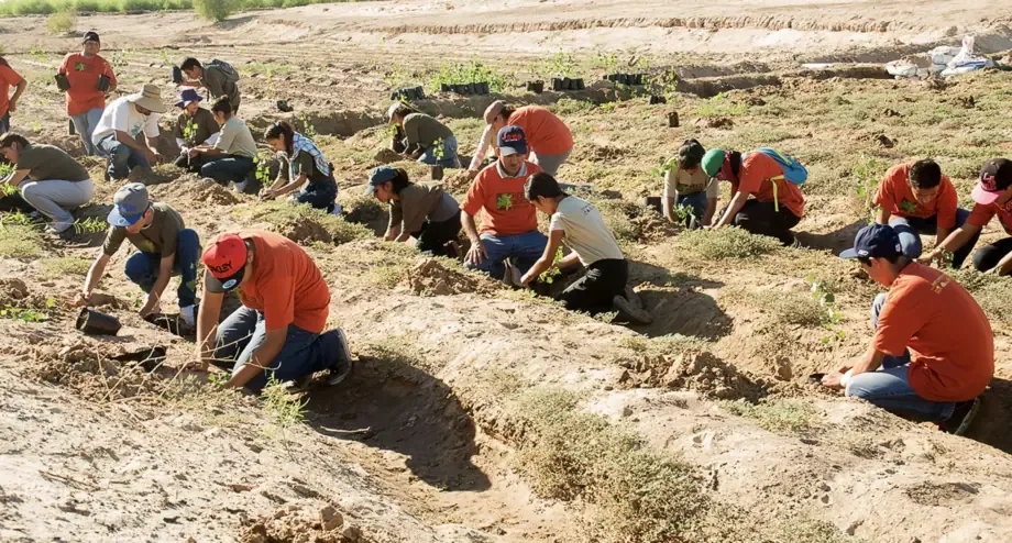 La recuperación ambiental beneficia a la comunidad cucapá y promueve la diversidad biológica.