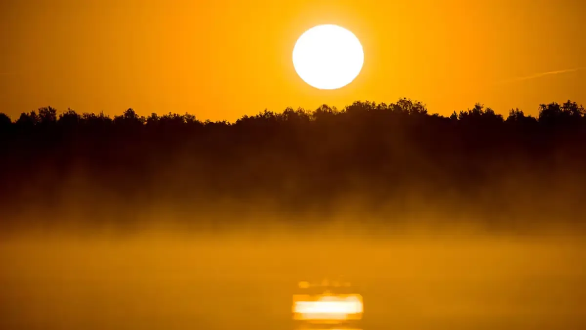 Científicos buscan revivir el sonido natural del mundo previo a la industrialización.