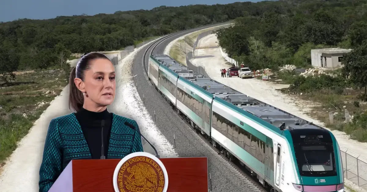 La resolución judicial obliga a autoridades a reforzar la protección de ecosistemas en la ruta del tren.